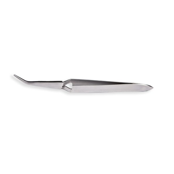 Andreia Professional 6 Inch Cross Tweezer